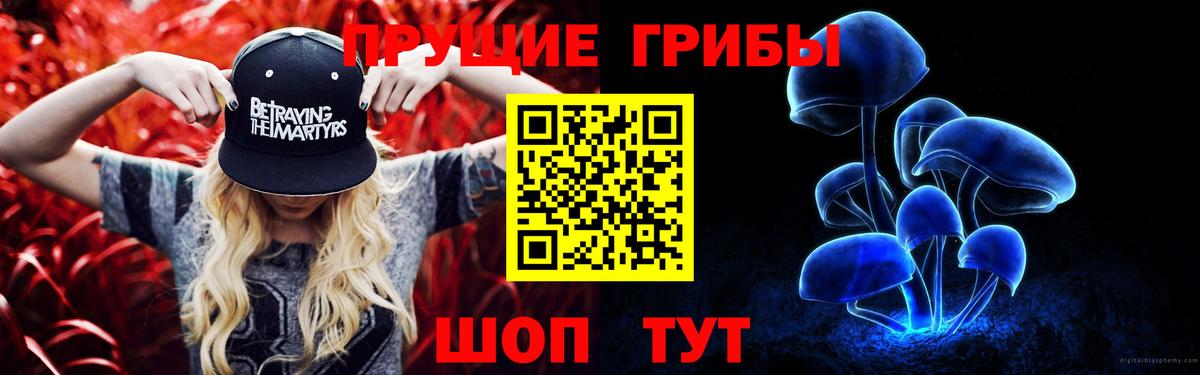 Псилоцибиновые грибы прущие грибы  что такое наркотик  Галлюциногенные грибы мицелий  Торжок  Вход с VPN 