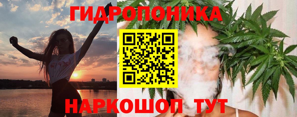Каннабис конопля Торжок
